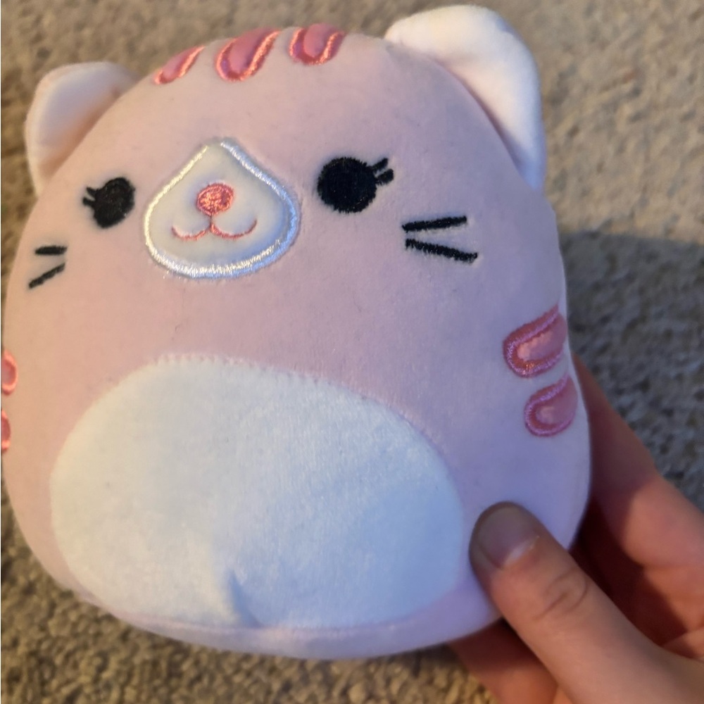 mini pink cat squishmallow